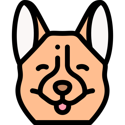 Coloriage de chien de berger Shetland avec nez de chien à imprimer