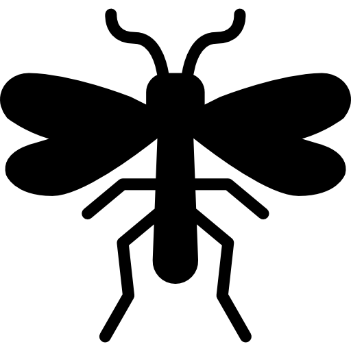 Coloriage de bugs et moustique à imprimer