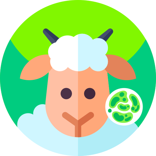 Coloriage de règne animal: agneau et chèvre à imprimer.
