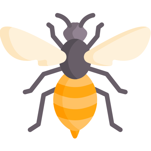 Coloriage d'abeille à imprimer pour les fans d'entomologie et d'animaux 🐝🎨