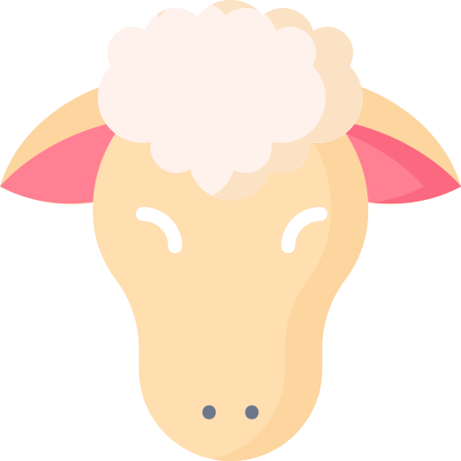 Coloriage de mouton à imprimer : la laine et l'agriculture chez ce mammifère.