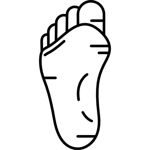 Coloriage d'anatomie des parties du corps: pieds à imprimer