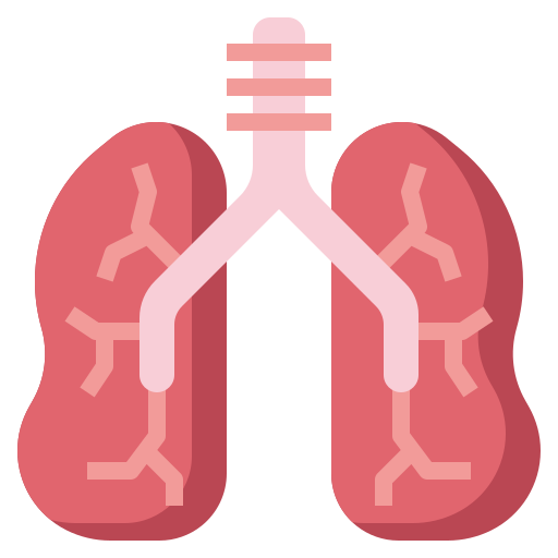 Coloriage d'anatomie des poumons à imprimer