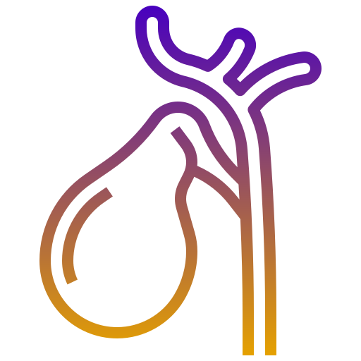 Coloriage d'anatomie du système digestif à imprimer.