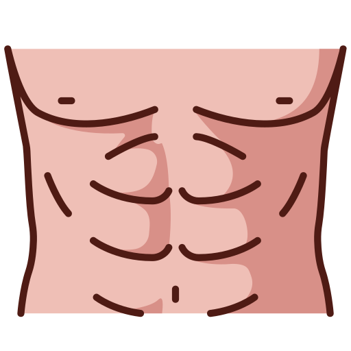 Coloriage d'anatomie médicale de l'abdomen à imprimer