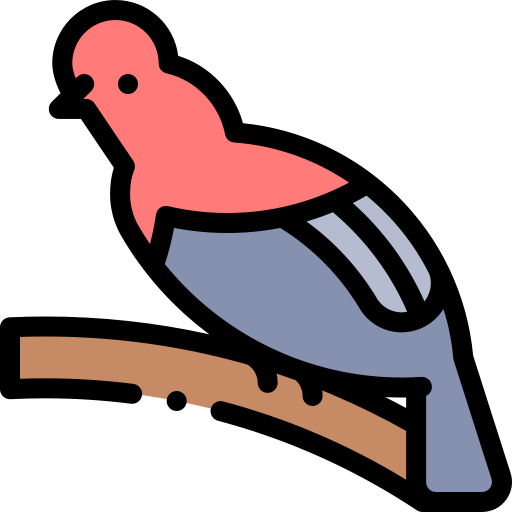 Coloriage d'animal du règne aviaire, le coq sur son rocher à imprimer.