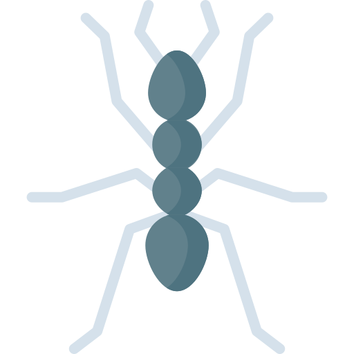 Coloriage d'arthropode (fourmi) en zoologie à imprimer