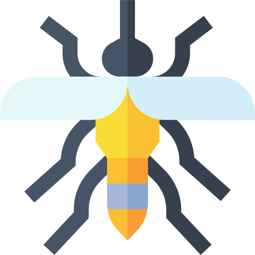 Coloriage d'entomologie: mouche et punaise à imprimer