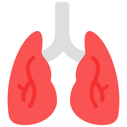 Coloriage des poumons, organe médical à imprimer