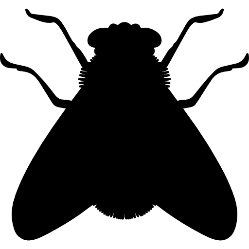 Coloriage d'insecte en silhouettes à imprimer