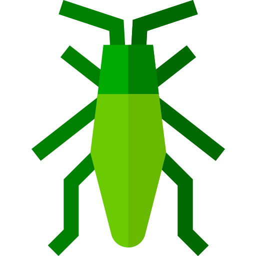 Coloriage d'insecte : la sauterelle à imprimer