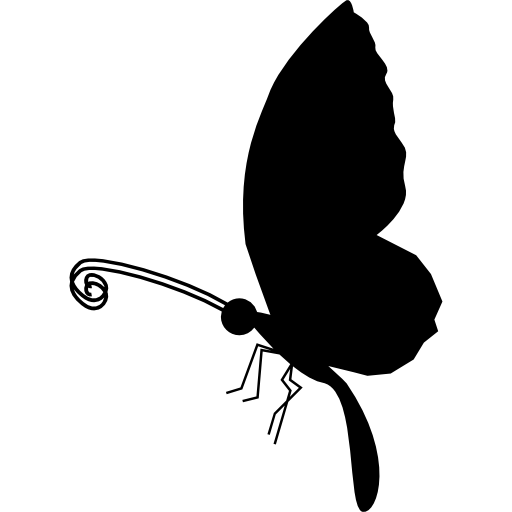 Coloriage d'insecte papillon avec antennes à imprimer