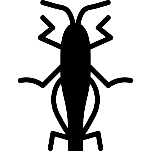 Coloriage d'insectes: la sauterelle en entomologie à imprimer
