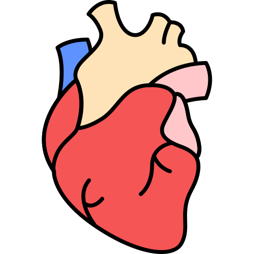 Coloriage du cœur humain, partie du corps à imprimer.