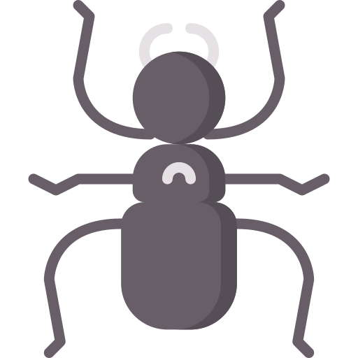 Coloriage d'une fourmi animal des arthropodes règne à imprimer.