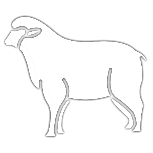 Coloriage de mammifère : agneau et chèvre à imprimer