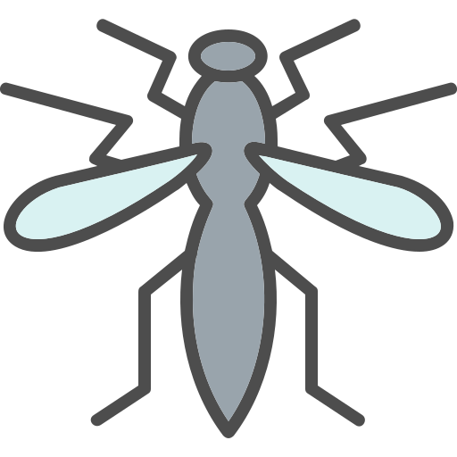 Coloriage de mouche faune insecte à imprimer