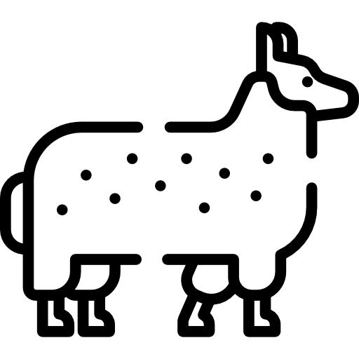 Coloriage de mouton à imprimer pour les amoureux de la ferme et des mammifères.