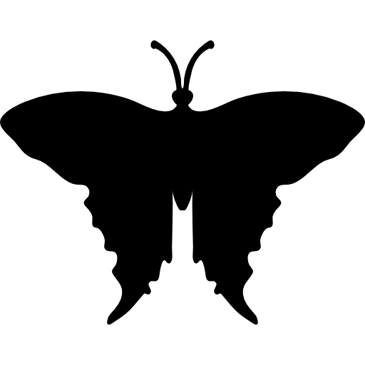 Coloriage de papillon de vue de dessus à imprimer