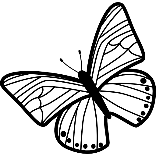 Coloriage de papillon modèle animal à imprimer