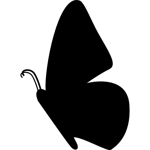 Coloriage de papillon de nuit en zoologie à imprimer